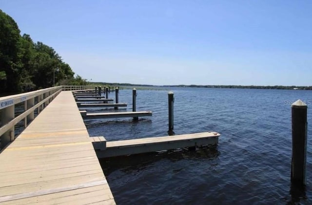 4147 Grandchamp Cir, Palm Harbor, FL 34685 - dock area with a water view