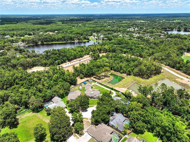18522 Sunward Lake Pl, Lutz, FL 33549 - photo 32