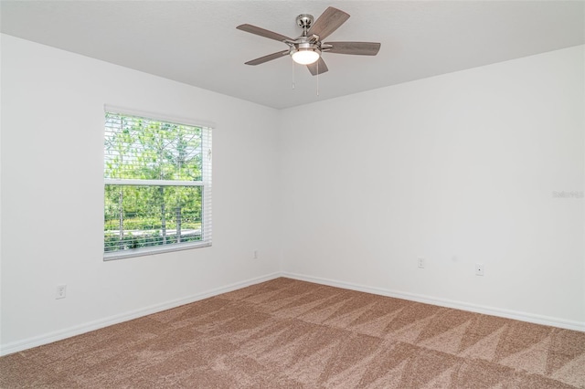12841 Buffalo Run Dr, Gibsonton, FL 33534 - empty room with carpet and ceiling fan