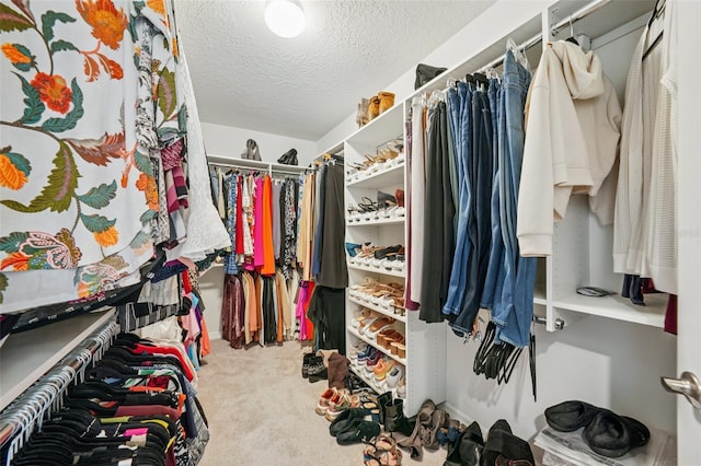 8305 Praise Dr, Tampa, FL 33625 - photo 25