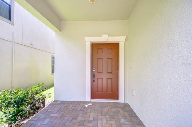 828 Terra Vista St, Brandon, FL 33511 - property entrance featuring stucco siding