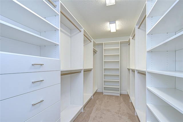 828 Terra Vista St, Brandon, FL 33511 - spacious closet featuring light carpet