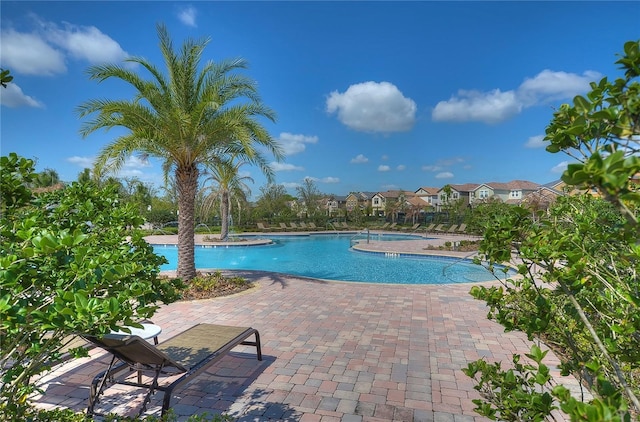 828 Terra Vista St, Brandon, FL 33511 - community pool featuring a patio