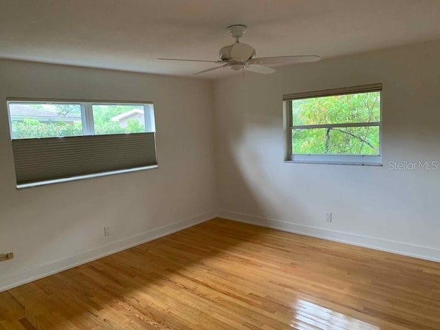 1861 Harmony Dr, Clearwater, FL 33756 - photo 8