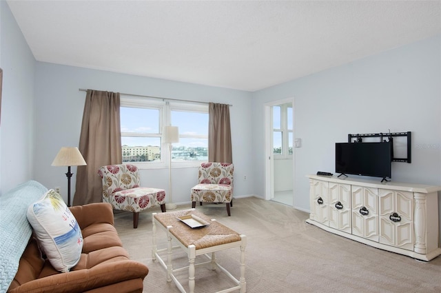 4775 Cove Cir Unit 803, Saint Petersburg, FL 33708 - living room featuring light carpet and baseboards