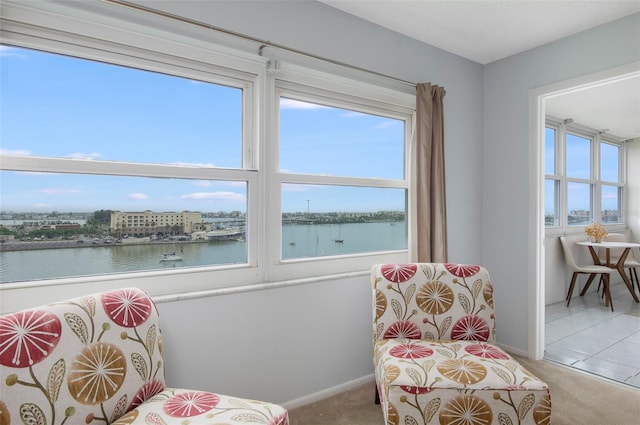 4775 Cove Cir Unit 803, Saint Petersburg, FL 33708 - living area with a water view and carpet flooring