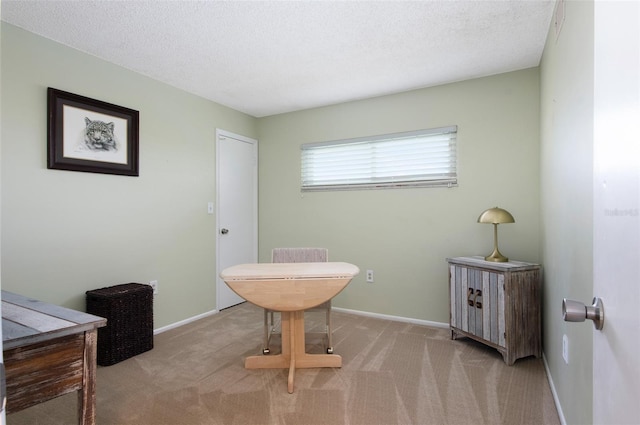 4775 Cove Cir Unit 803, Saint Petersburg, FL 33708 - bathroom with a textured ceiling