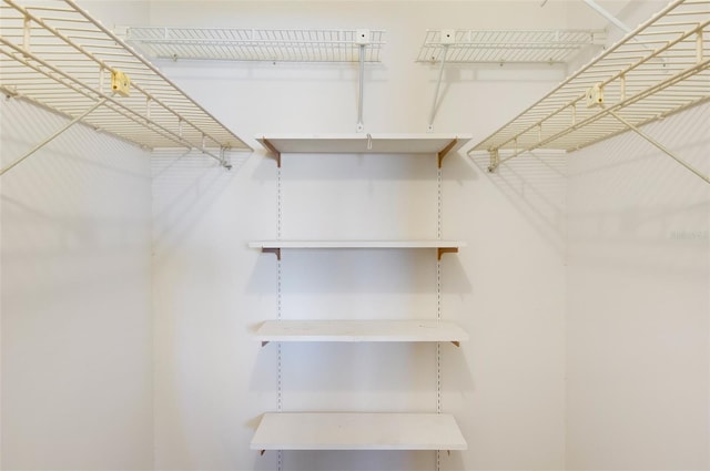 4775 Cove Cir Unit 803, Saint Petersburg, FL 33708 - view of walk in closet
