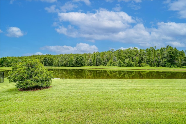 2957 Hilliard Dr, Wesley Chapel, FL 33543 - photo 30