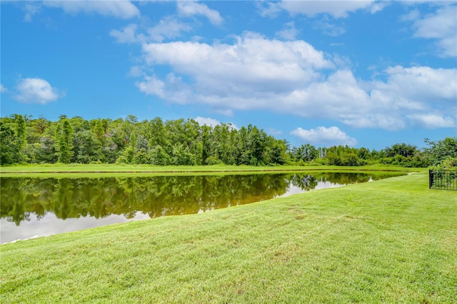 2957 Hilliard Dr, Wesley Chapel, FL 33543 - photo 32