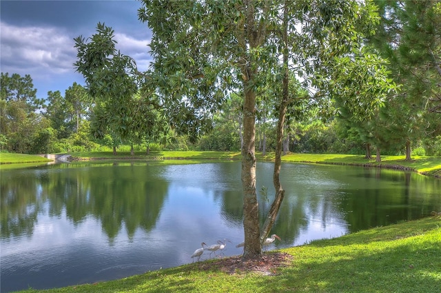 2957 Hilliard Dr, Wesley Chapel, FL 33543 - photo 65