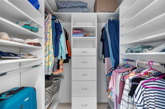 12830 24th Street Cir E, Parrish, FL 34219 - spacious closet with light wood-type flooring