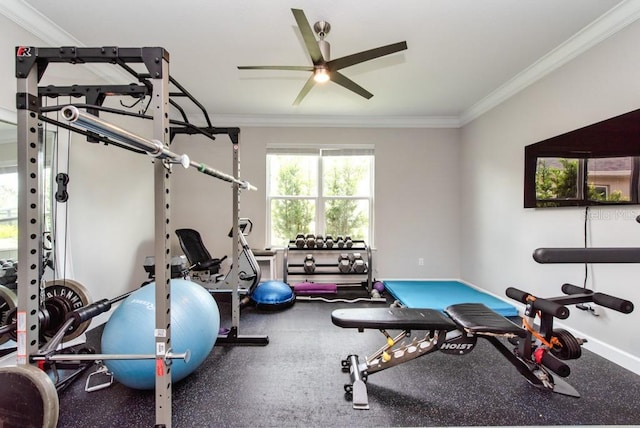 4906 Los Robles Ct, Palmetto, FL 34221 - exercise room with ceiling fan and crown molding