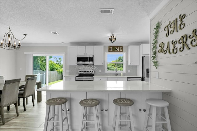 3721 Casaba Loop, Valrico, FL 33596 - kitchen with appliances with stainless steel finishes, a textured ceiling, plenty of natural light, a kitchen bar, and light countertops