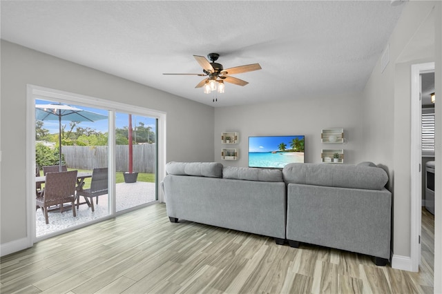 3721 Casaba Loop, Valrico, FL 33596 - living area with light wood-style flooring and ceiling fan