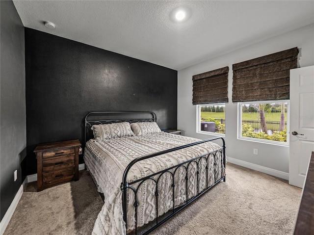 8119 Trimbelle Ter, Parrish, FL 34219 - photo 28