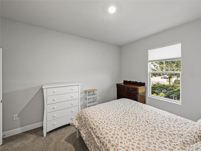 8119 Trimbelle Ter, Parrish, FL 34219 - photo 42