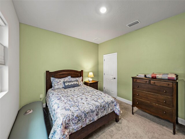 8119 Trimbelle Ter, Parrish, FL 34219 - photo 39