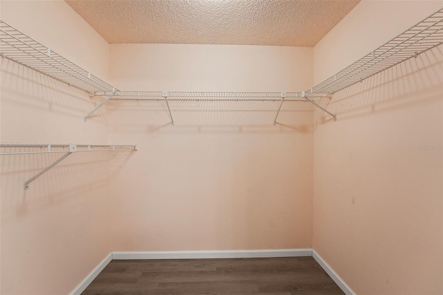 2708 W Bird St, Tampa, FL 33614 - spacious closet featuring wood finished floors