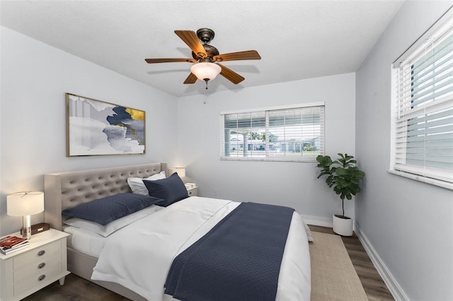 4849 Floramar Ter, New Port Richey, FL 34652 - bedroom with multiple windows, dark wood-style floors, and ceiling fan