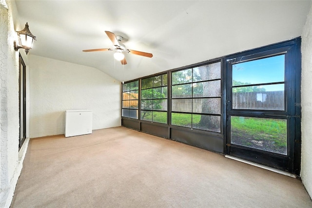 1725 Pine Ridge Way E # E, Palm Harbor, FL 34684 - photo 26