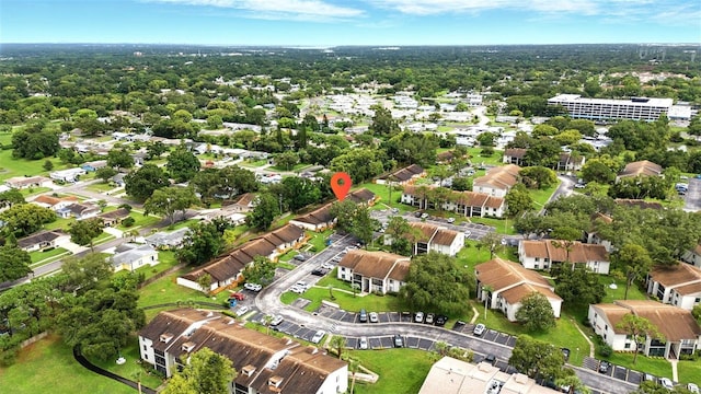1725 Pine Ridge Way E # E, Palm Harbor, FL 34684 - photo 34