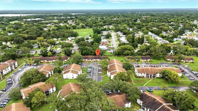 1725 Pine Ridge Way E # E, Palm Harbor, FL 34684 - photo 45