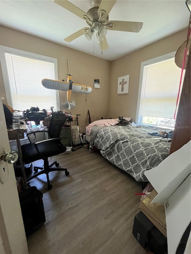 1420 36th Ave N, Saint Petersburg, FL 33704 - photo 6