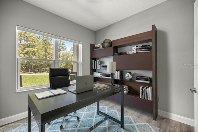 5352 W Corral Pl, Beverly Hills, FL 34465 - home office with baseboards and wood finished floors