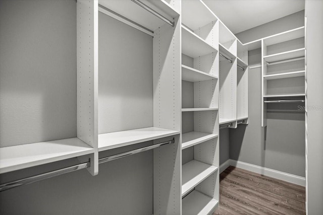 5352 W Corral Pl, Beverly Hills, FL 34465 - spacious closet featuring dark wood-style floors