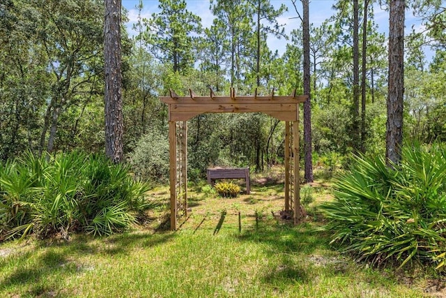 5352 W Corral Pl, Beverly Hills, FL 34465 - view of yard