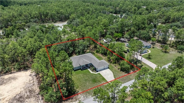 5352 W Corral Pl, Beverly Hills, FL 34465 - view of property location featuring a forest and property boundaries highlighted