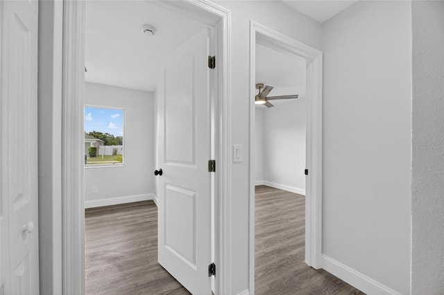 13248 Pike Lake Dr, Riverview, FL 33579 - photo 30