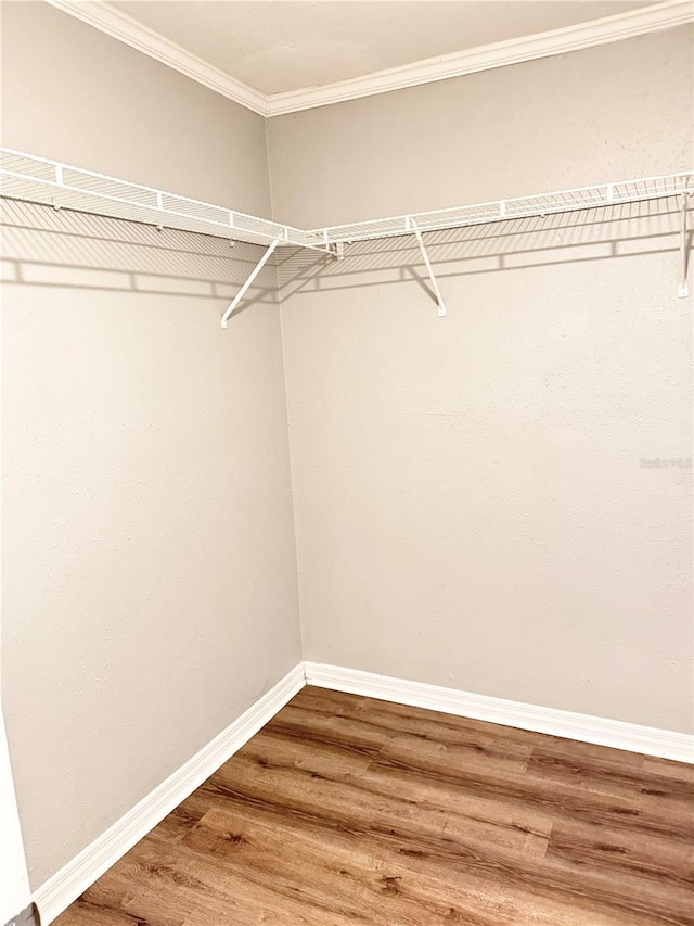 1507 W Le Compte Dr, Tampa, FL 33604 - spacious closet featuring wood finished floors