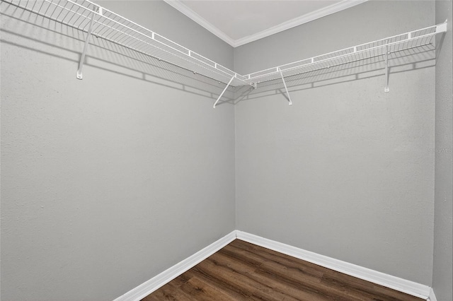 1507 W Le Compte Dr, Tampa, FL 33604 - photo 42