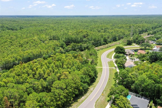 4948 Ridgemoor Cir, Palm Harbor, FL 34685 - aerial view of a forest
