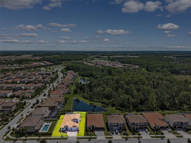 3999 Burdick Loop, Odessa, FL 33556 - photo 56