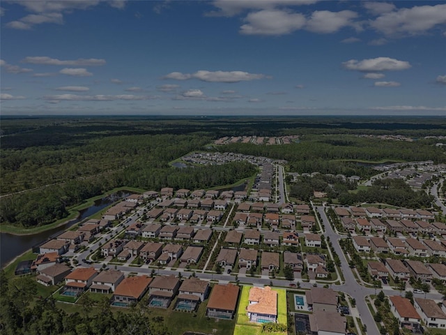 3999 Burdick Loop, Odessa, FL 33556 - photo 58