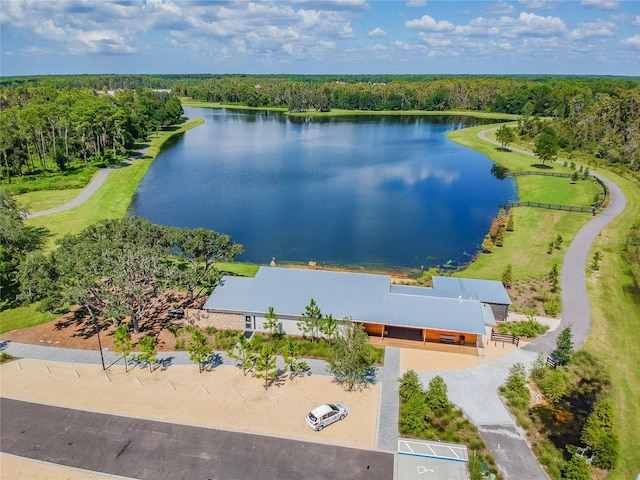 3999 Burdick Loop, Odessa, FL 33556 - photo 73