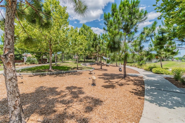 3999 Burdick Loop, Odessa, FL 33556 - photo 79