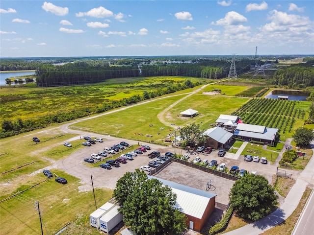 3999 Burdick Loop, Odessa, FL 33556 - photo 89