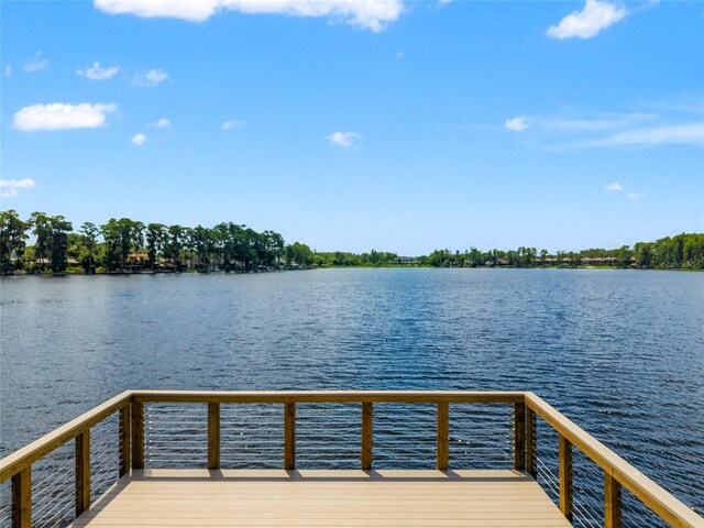 3519 Heards Ferry Dr, Tampa, FL 33618 - photo 41