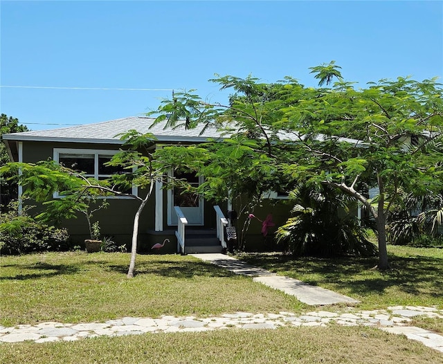 4350 2nd Ave S, Saint Petersburg, FL 33711 - obstructed view of property with a front lawn and a shingled roof