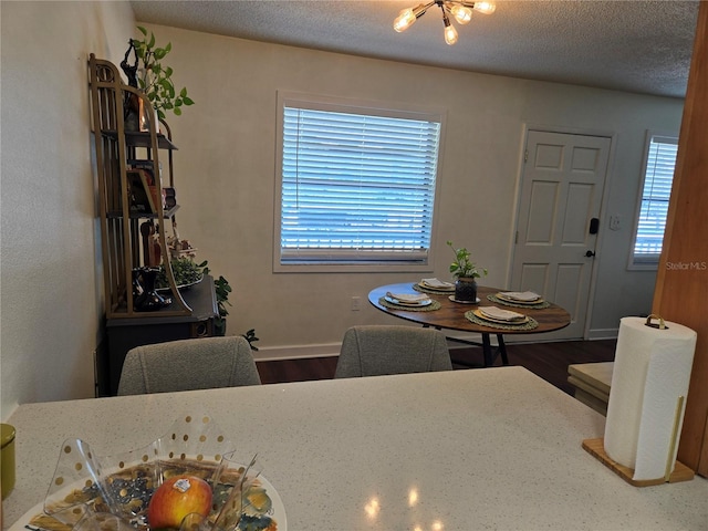 5925 Terrace Park Dr N Unit 210, Saint Petersburg, FL 33709 - dining room featuring wood finished floors, plenty of natural light, a chandelier, and a textured ceiling