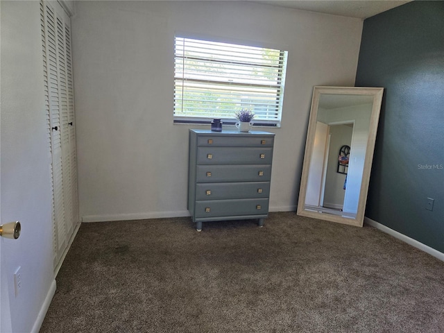 5925 Terrace Park Dr N Unit 210, Saint Petersburg, FL 33709 - bedroom featuring carpet and a closet