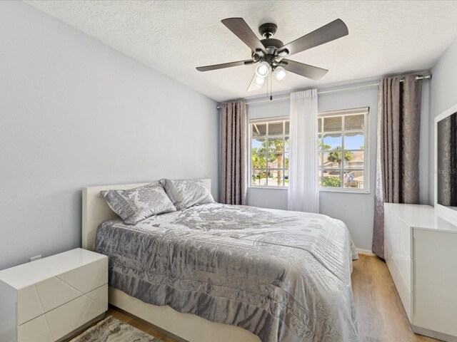 3077 Branch Dr, Clearwater, FL 33760 - photo 24