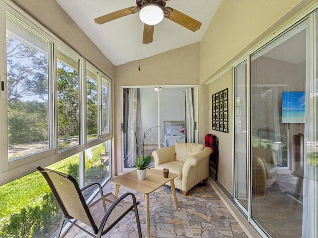 3077 Branch Dr, Clearwater, FL 33760 - photo 30