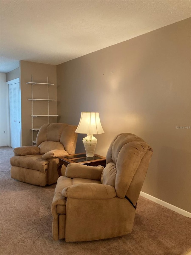 5623 80th St N Unit 314, Saint Petersburg, FL 33709 - living room with carpet floors