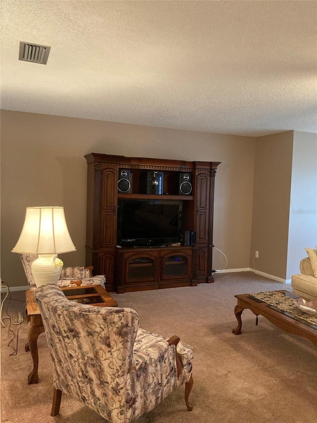 5623 80th St N Unit 314, Saint Petersburg, FL 33709 - living room featuring carpet and a textured ceiling