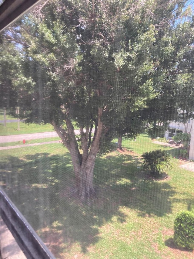 5623 80th St N Unit 314, Saint Petersburg, FL 33709 - view of green lawn